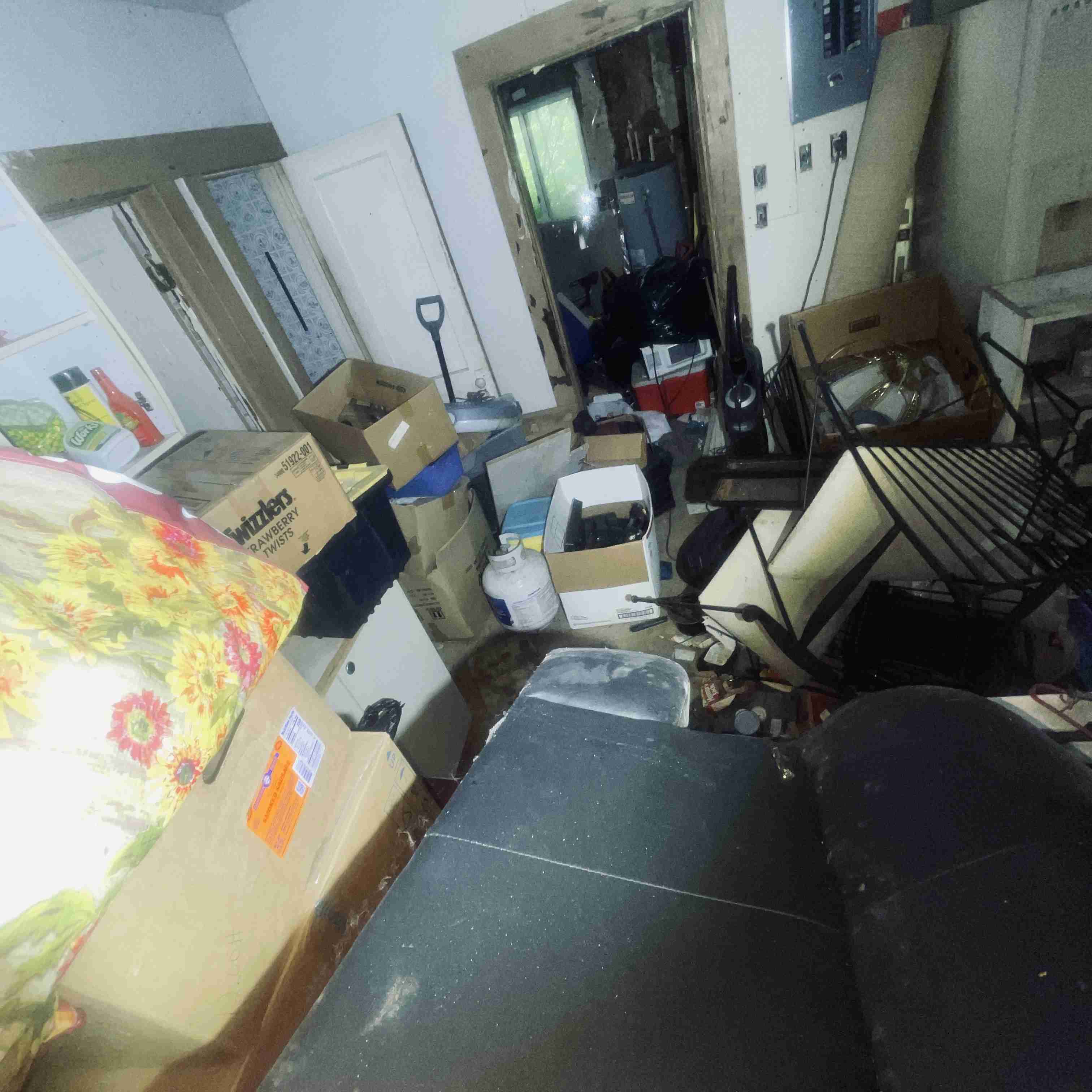 7528 Sarena (38).jpg